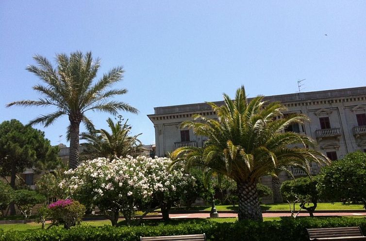 Appartement flacher Kirschbaum