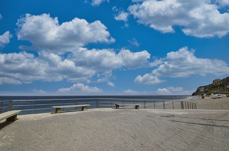 Appartement flacher Kirschbaum