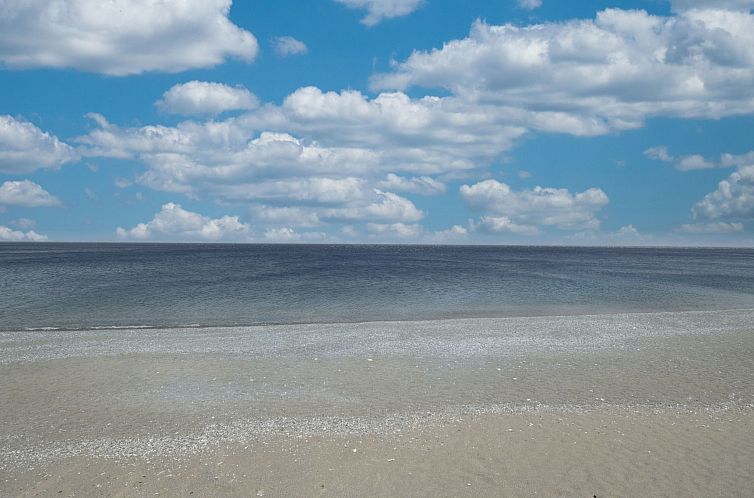 Appartement flacher Kirschbaum