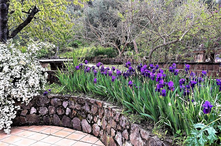 Appartement Flache Limone