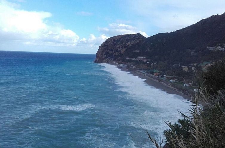 Appartement Mandarin Wohnung