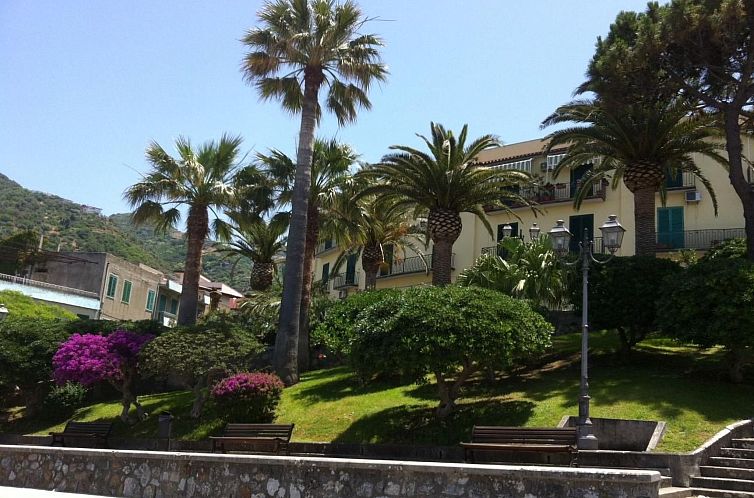 Appartement Mandarin Wohnung