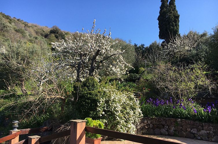 Appartement Mandarin Wohnung