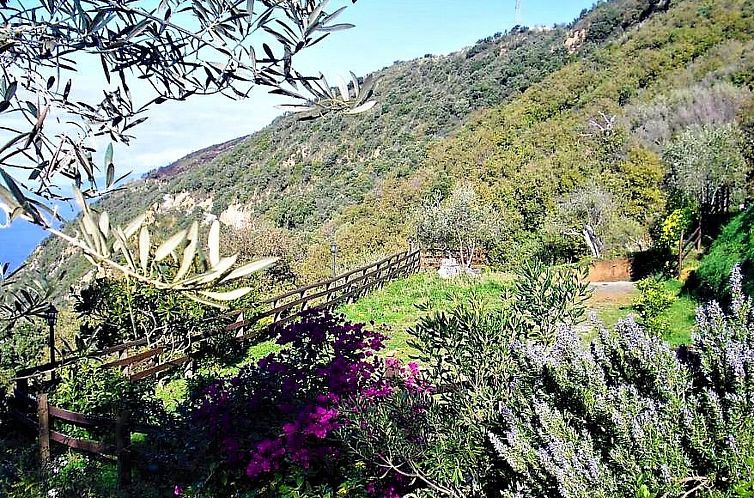 Appartement Flache Zeder