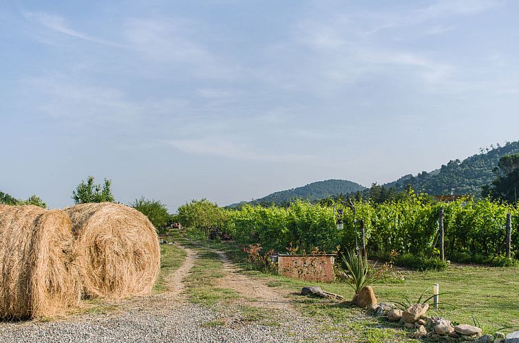 Vakantiehuis I Sei Filari