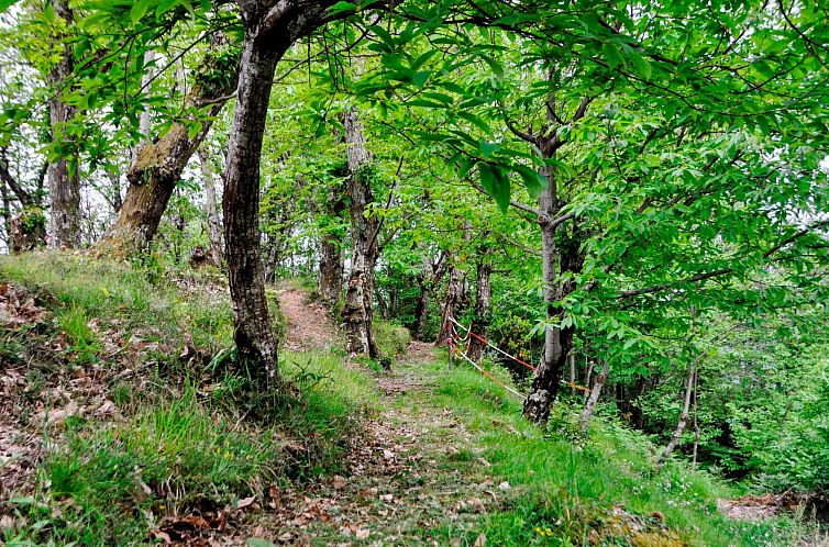 Vakantiehuis "Casale Colle Belvedere"