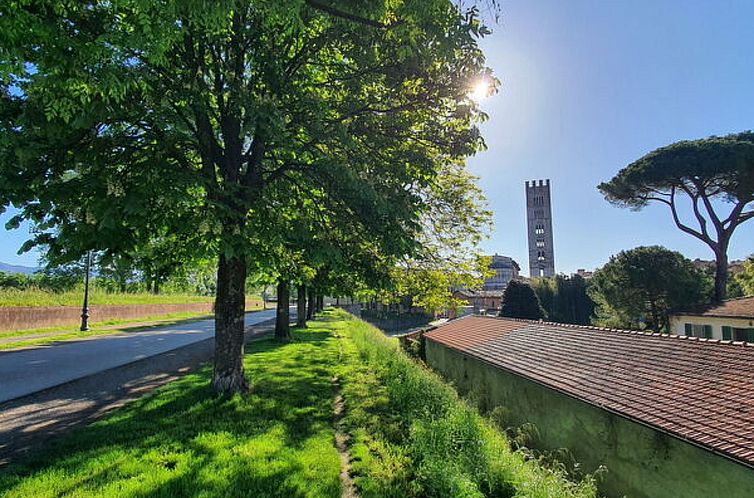 Appartement Casina Bella Di Lucca