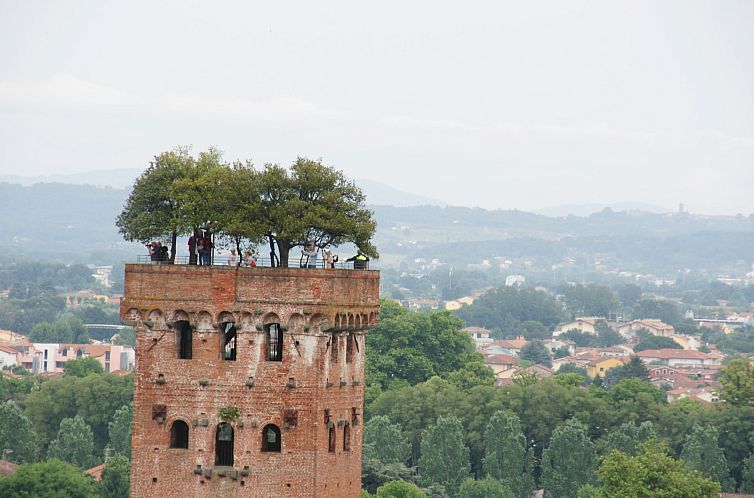 Appartement Loft Lucca