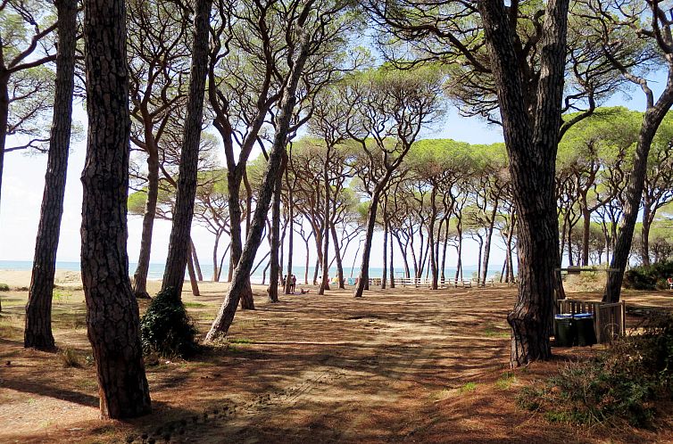 Appartement Monolocale - Ranch Hotel