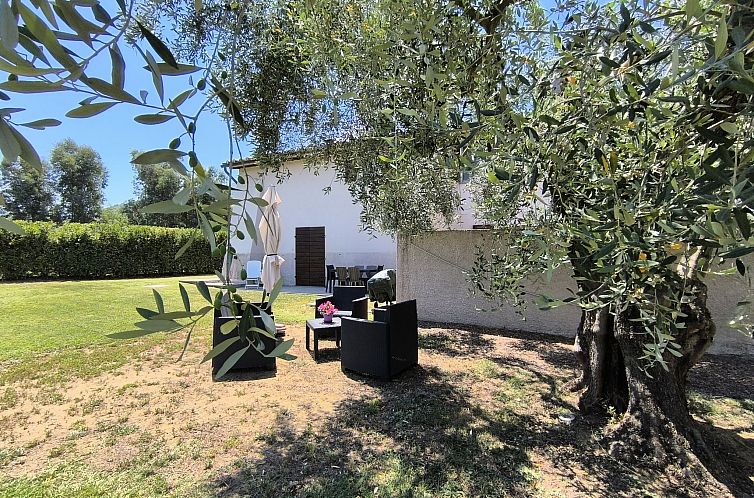 Appartement Olivo