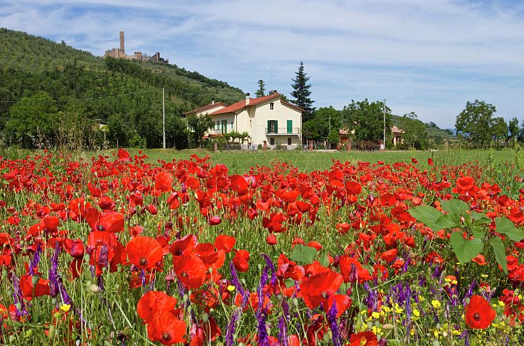 Montecchio