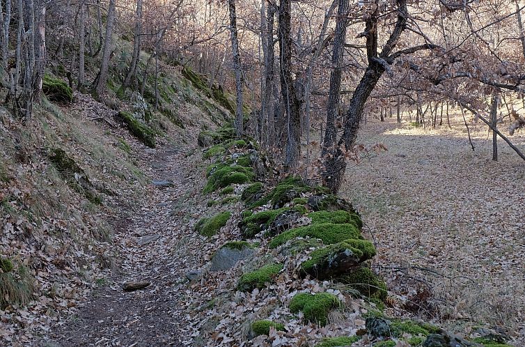 Cobert d'en Piarró