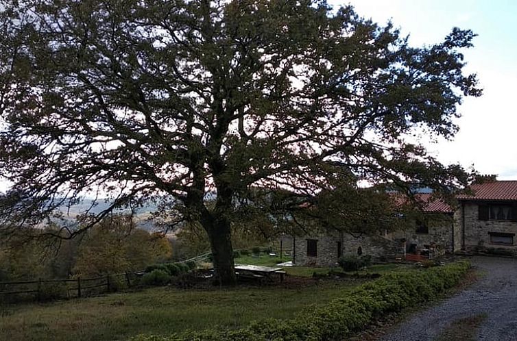 Vakantiehuis in Gerfalco