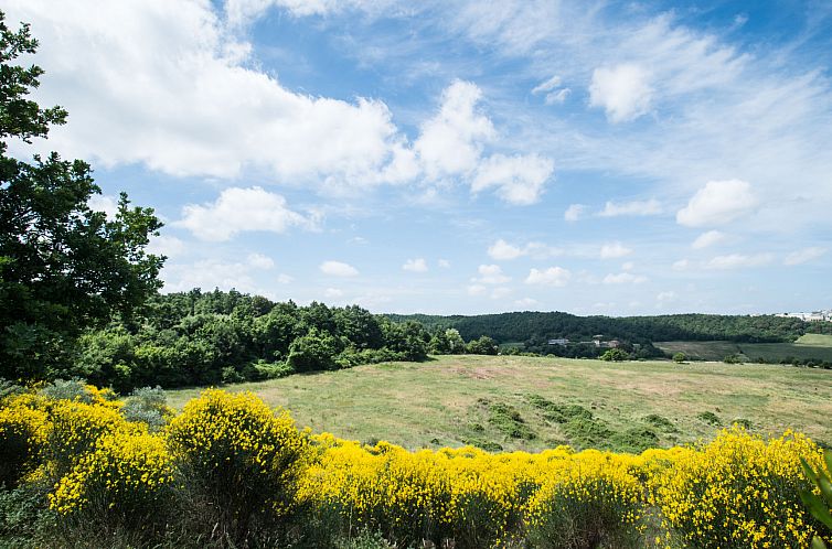 Vakantiehuis VIlla Salvia