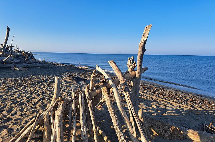 Appartement Nette Wohnung in Principina A Mare mit Terrasse 