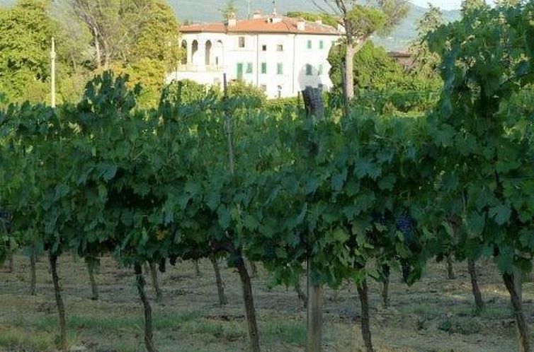 Appartement Grünes Haus