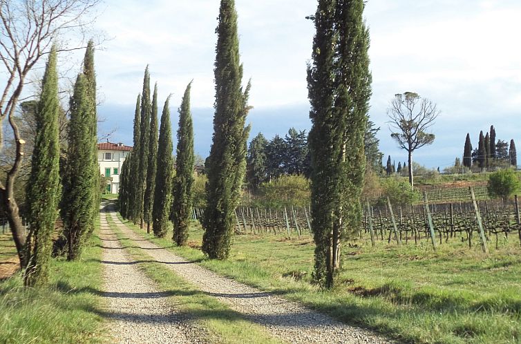 Appartement 'Yellow House
