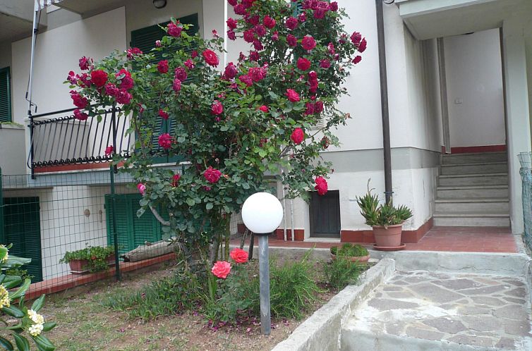Appartement Wohnung mit Garten, Grill und Terrasse