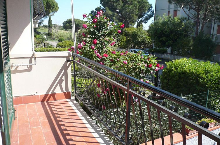 Appartement Wohnung mit Garten, Grill und Terrasse