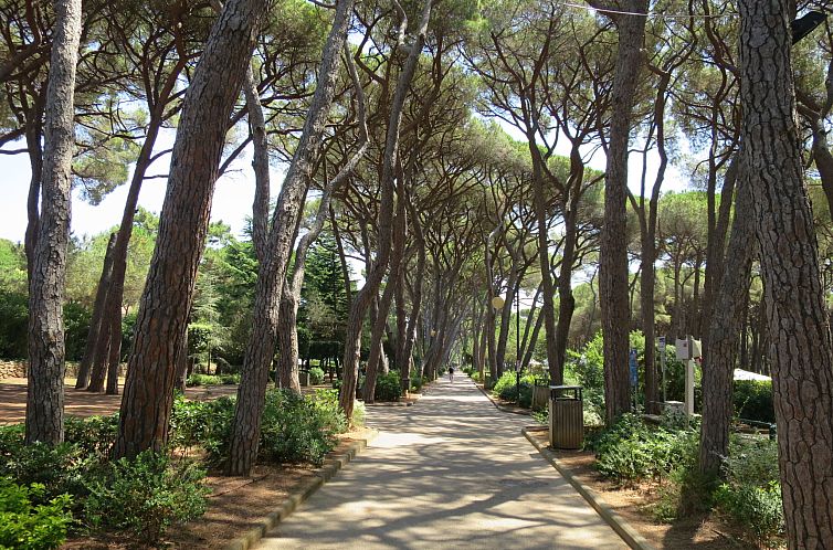 Appartement Al mare
