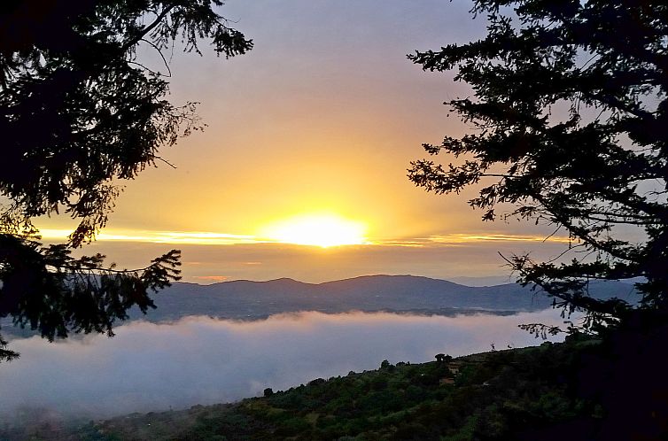 Appartement Belvedere