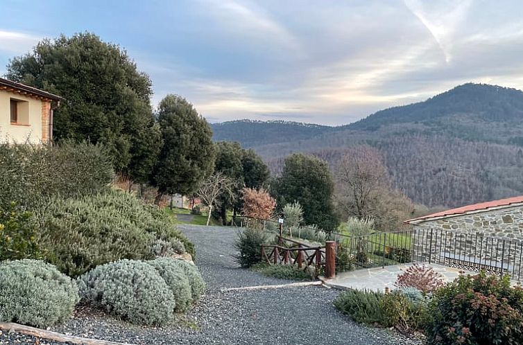 Relax in the serene nature around Cottage in Anghiari, a charming vacation home in picturesque Anghiari, Tuscany.