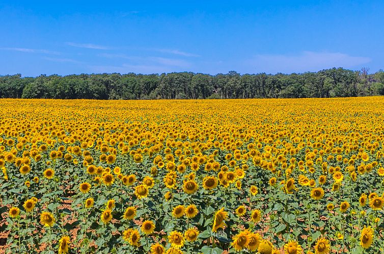 Appartement Benedetta