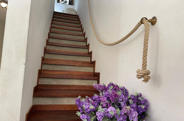 Appartement Wohnung zwischen Grün und Meer