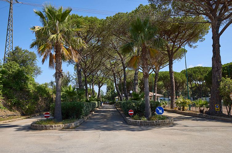 Vakantiehuis Mobilhome Luxury