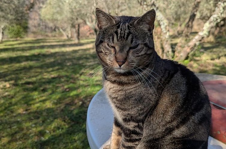 Vakantiehuisje in Cavriglia