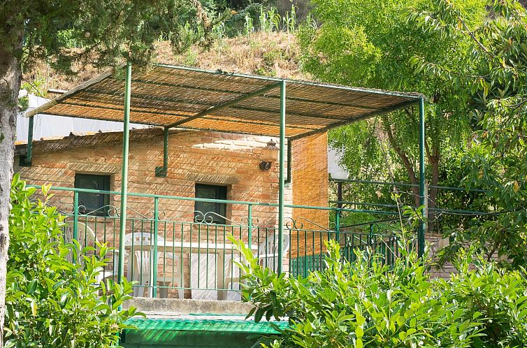 Appartement Wohnung in Palaia mit Großem Garten