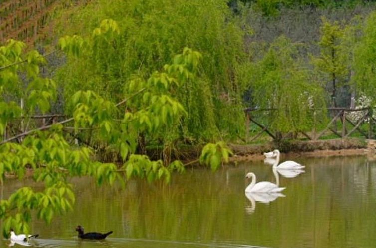 Appartement Belvedere