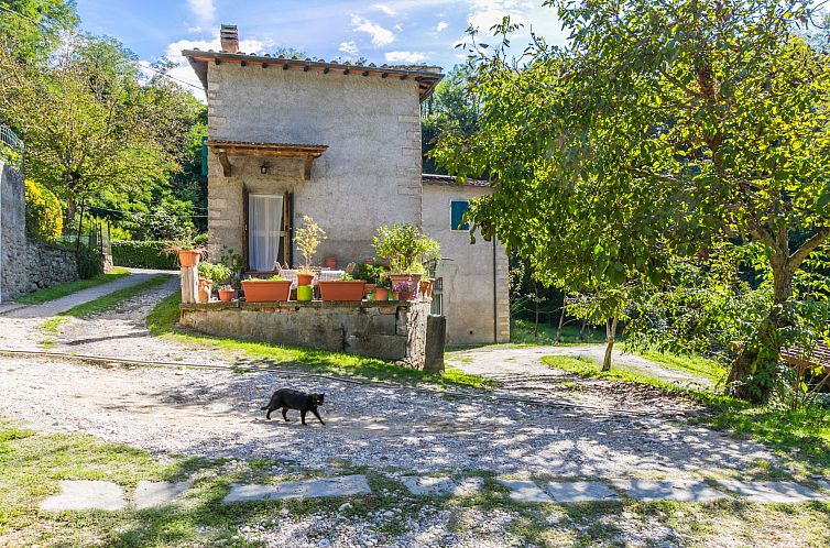 Vakantiehuis Il Mulinaccio