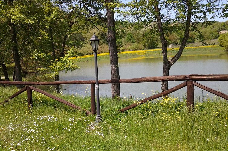 Appartement Schönes 1-Zimmer-Apartment