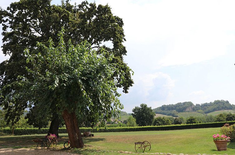 Appartement Schönes 1-Zimmer-Apartment