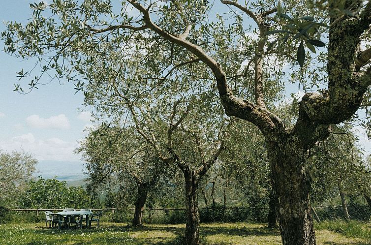 Appartement 'Tommaso' mit Schwimmbad