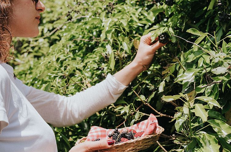 Appartement 'Tommaso' mit Schwimmbad