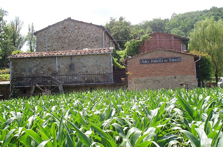 Appartement Landgut "La Tabaccaia" mit eigenem Garten und Gr