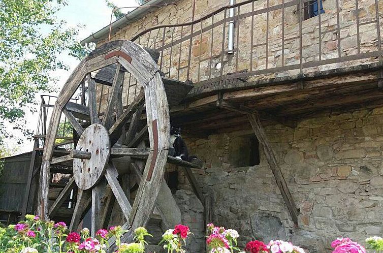 Appartement Landgut "Il Molino" mit Terrasse und Garten