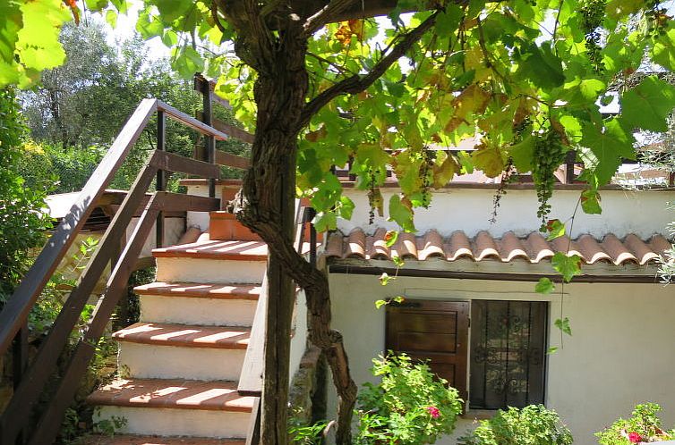 Vakantiehuis Ulivo