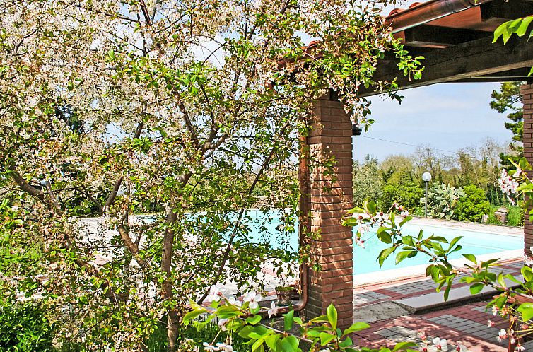 Vakantiehuis Coast