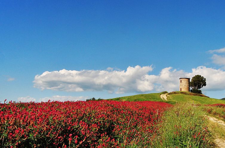 Appartement Lilla von Holiday World