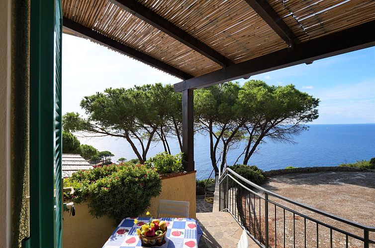 Appartement Oasis 2