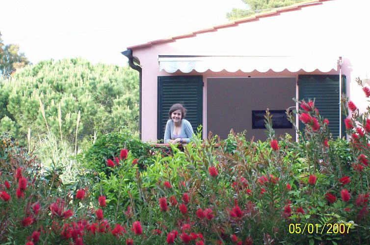 Appartement mit Terrasse
