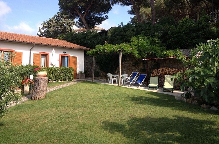 Appartement Gemütliches Appartement in Capoliveri mit Grill