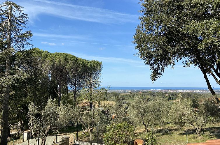 Appartement Montaleo 4