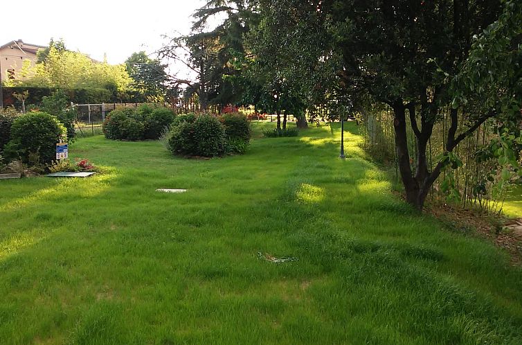 Appartement Sonnenblume Wohnung