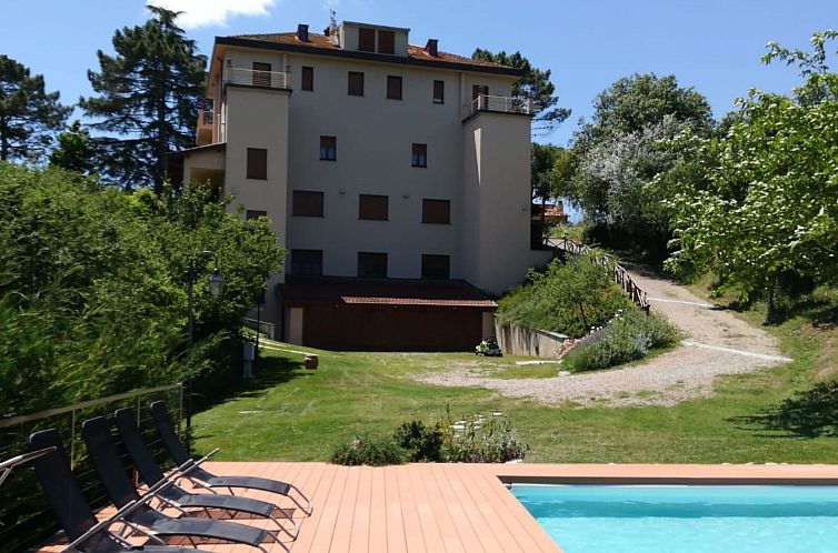 Appartement Flache Kornblume