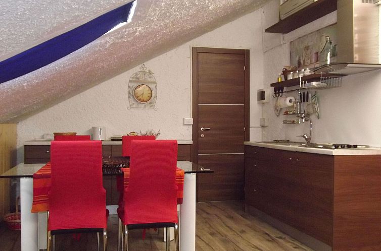 Appartement Flache Kornblume