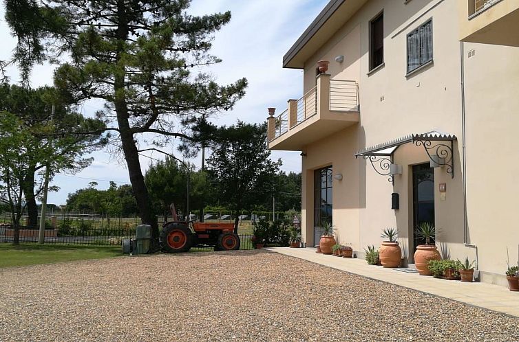 Appartement Flache Kornblume